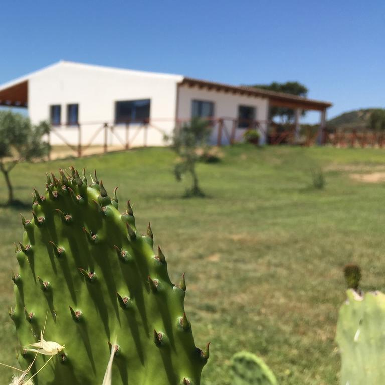 Villa Agriturismo Mieleamaro Olbia Exterior foto