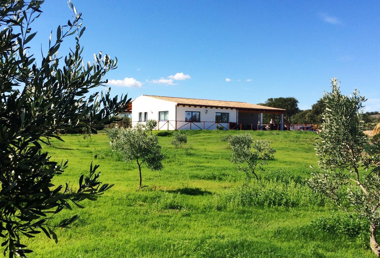 Villa Agriturismo Mieleamaro Olbia Exterior foto