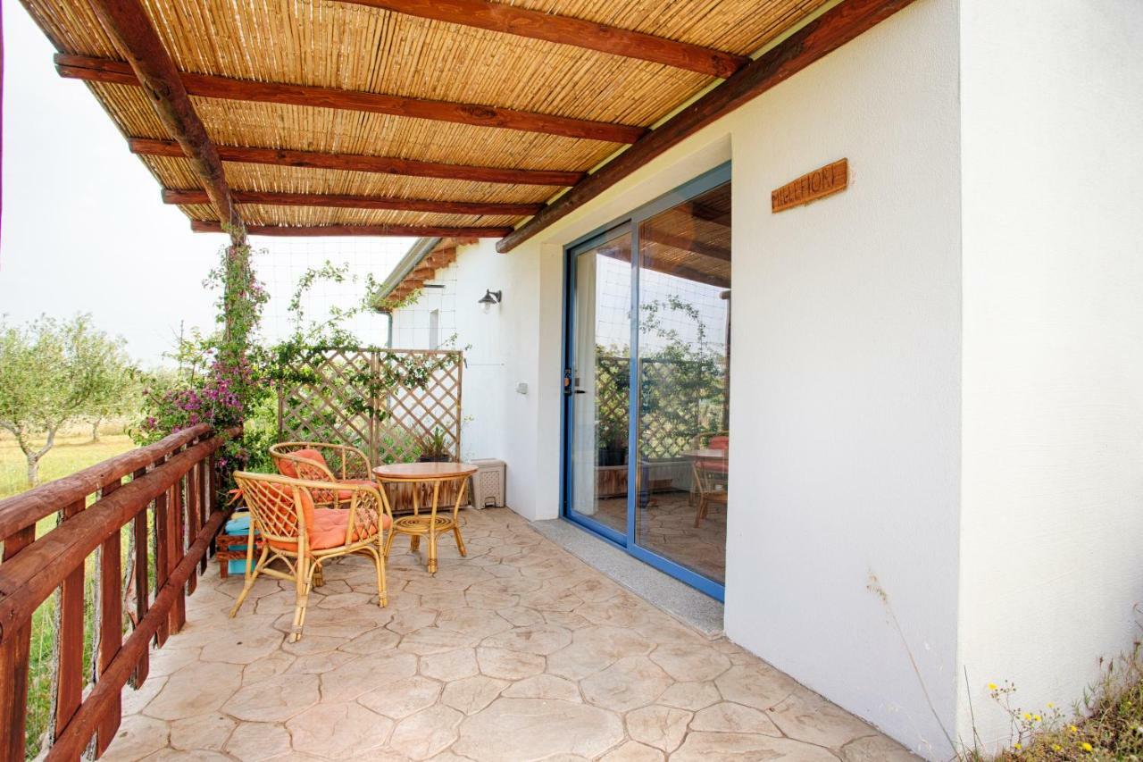 Villa Agriturismo Mieleamaro Olbia Exterior foto